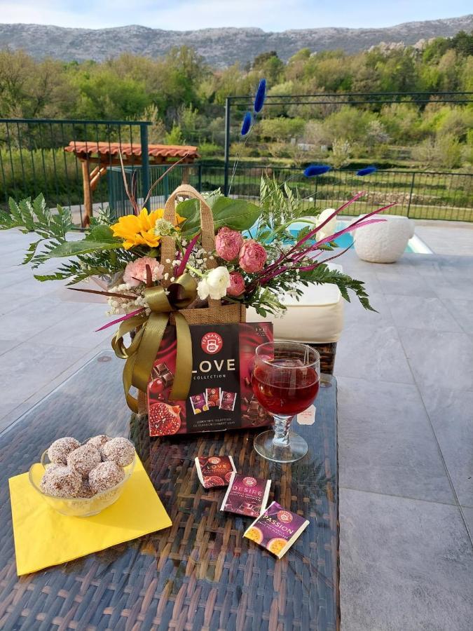 Villa Zrinka **** Svinisce 外观 照片